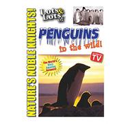 Lots and Lots of Penguin in the Wild [DVD] [2007] [Region 1] [US Import] [NTSC]