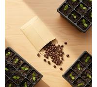 Lotsdonxia 100 Pcs Seed Packets Envelopes, Mini Brown Kraft Paper Organiser, Small Item Storage Bag, Self-Adhesive Sealing for Collecting Seeds, Coins, Stamps