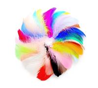 Lotsdonxia 100-Piece Colourful Feather Set for Crafts Natural Goose Feathers for DIY Handmade Projects Gift Box Filling Decorative Ornaments Art Crafts (Multicolor)