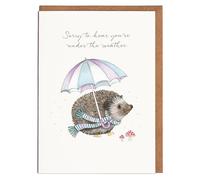 Lottie Murphy - Hedgehog Get Well Soon Card - 'Sorry To Hear Your Under The Weather' - Card For Her - Card For Him