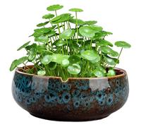 Lotus Bowl Planter 6.5x2.5 Inch Round Ceramic Plant Pots Vintage Decorative Lotus Flower Bowl Non Slip Water Lily Bowl for Succulent Plants Flower Bowl Ceramic Plant Pots Lotus Flower Bowl Water Lily