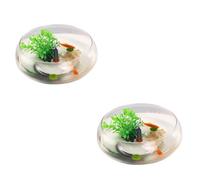 Lotus Bowl Planter, 6 Inch Round Lotus Flower Bowl, Bowl Lotus Seeds,Clear Water Lily Bowl, Decorative Glass Bowl for Flower Succulent Hydroponic Plant Fish Home Decor