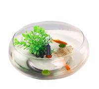 Lotus Bowl Planter, 6 Inch Round Lotus Flower Bowl, Bowl Lotus Seeds,Clear Water Lily Bowl, Decorative Glass Bowl for Flower Succulent Hydroponic Plant Fish Home Decor