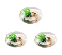 Lotus Bowl Planter, 6 Inch Round Lotus Flower Bowl, Bowl Lotus Seeds,Clear Water Lily Bowl, Decorative Glass Bowl for Flower Succulent Hydroponic Plant Fish Home Decor
