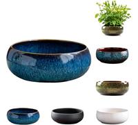 Lotus Bowl Planter for Indoor Water Planting, Hydroponic Container with Lotus Flower Design, Growing Lotus Seeds in Water, Decorative Aquatic Plant Bowl for Home, Patio, Zen Garden Decor (Navy)