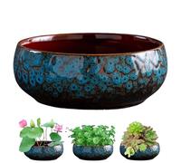 Lotus Bowl Planter, Lotus Bowls for Planting in Water Indoors, Bonsai Bowl Lotus Flower Seeds Pot, Indoor Hydroponic Planter Decor, White Hydroponic Flower Pot (C)
