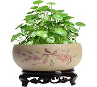 Lotus Bowl Planter,Lotus Bowls for Planting in Water Indoors,bonsai pot,Plant Container Bowl,Chinese Ceramic Lotus Plant Pot with Stand,Hydroponic Bonsai Bowl Lotus Flower for Bowl Lotus Flower Seeds