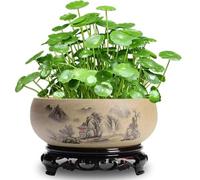 Lotus Bowl Planter,Lotus Bowls for Planting in Water Indoors,bonsai pot,Plant Container Bowl,Chinese Ceramic Lotus Plant Pot with Stand,Hydroponic Bonsai Bowl Lotus Flower for Bowl Lotus Flower Seeds