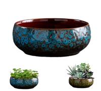 Lotus Bowl Planter, Lotus Bowls for Planting in Water Indoors, Ceramic Flower Bowl, Ceramic Pots for Plants, Applicable to Succulent Plants Hydroponic Plant (Blue)
