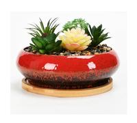 Lotus Bowl Planter,With tray,Large Caliber Flow Glaze Daffodil Pot,Ceramic Lotus Flower Bowl,Lotus Water Lily Succulent Household Simple Ceramic Basin,Sacred Bonsai Hydroponic Container