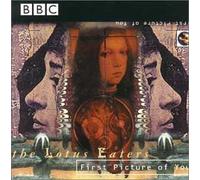 Lotus Eaters - The First Picture of You