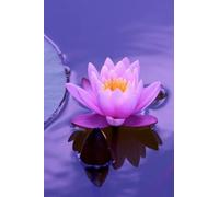 Lotus Flower Meditation Journal, Blank Lined Pages, Enjoy Writing, Inspirations, Peace and Gratitude, Meditative Writing, Enjoy a Relaxing ... Journaling for Relaxation, Fun Gifts.