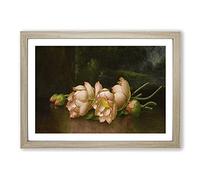 Lotus Flowers by Martin Johnson Heade Framed Print | A2 Oak Framed Wall Art | Ready to Hang | Modern Floral Picture | Living Room Bedroom Lounge Office