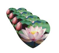 Lotus Flowers Car Air Freshener Cards for Women Men 4 Pack Cute Car Accessories Long Lasting Scent Car Diffuser Hanging Auto Aromatherapy Tablets Car Fresheners Gifts