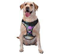 Lotus Flowers, Urban Ruins Premium Dog Harness for Small, Medium, and Large Dogs – Durable, No Pull with Reflective Straps and Quick Release BucklesX-Large
