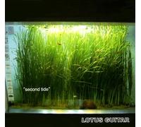 Lotus Guitar - Second Tide