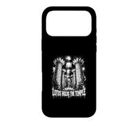 Lotus Holds The Temple Ancient Egyptian Symbols Case for iPhone 17 Pro Max