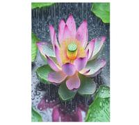 Lotus Jigsaw Puzzles for Adults 1000 Pieces - Kids Wooden Puzzle - Recycled Board Picture （78×53cm）