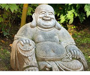 Lotus Kick and Laughing Buddha