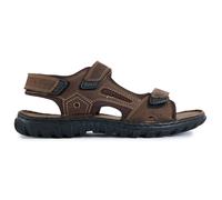 Lotus Mens Douglas Sports Sandals Brown