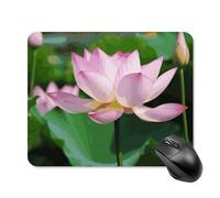 Lotus Square Mouse Pad Portable Computer Mousepad with Non-Slip Rubber Base 20 * 25cm Ultra-Thin Gaming Mouse Mat for Computer Laptop Office Desk Accessories