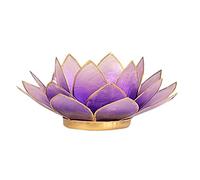 Lotus Tealight Candle Holder Capiz Shell Lavender Gold Trim