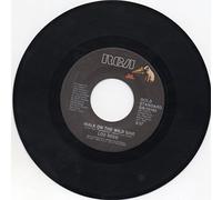 Lou Reed - Lou Reed Walk On The Wild Side US 45 7" single USA +Vicious