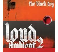 Loud Ambient 2 [VINYL]