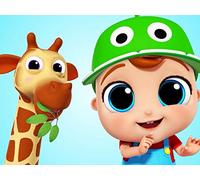 Loud And Quiet Animals