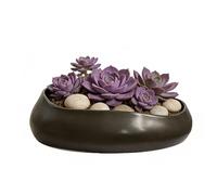 LOUIE SILNA Cactus Planter, 21cm Ceramic Succulent Planter, with Drainage Holes, Suitable for Indoor and Outdoor Plants, Garden Decoration, and Flower Plant Containers (Black).