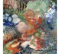 Louien - None Of My Words [VINYL]