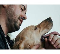Louis Belluomini: My K9s For Warriors Story