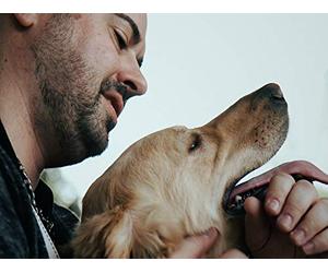 Louis Belluomini: My K9s For Warriors Story