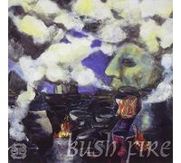Louis Moholo, Evan Parker, Pule Pheto, Gibo Pheto & Barry Guy - Bush Fire