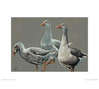 Louise Brown Art Prints, Multi-Colour, 30 x 40 cm