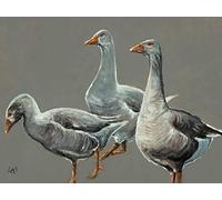 Louise Brown Having a Gander Canvas Print, Multi-Colour, 60 x 80 cm