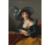 Louise-Élisabeth Vigee le Brun: Comtesse de Segur, 1785