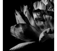 Louise Roam - La ou passe la nuit