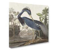 Louisiana Heron by John James Audubon Canvas Print | Gallery Wrapped 30mm Frame Wall Art | 14x14 inches | Ready to Hang | Modern Picture | Living Room Bedroom Lounge Office