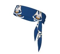 Louisiana State Flag Print Sports Headband, Adjustable Head Tie For Running, Tennis & Workouts, Soft Fit