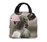 LOUJIN Lunch Bag Donkey Tote Bag Lunch Boxes Reusable Insulated Cooler Bag Water-Resistant Thermal Meal Bag Snack Bag