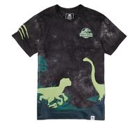 Loungefly Jurassic World Dinos Unisex Tee Medium