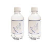 Lourdes Holy Water 330ML Authentic Certified, Imported directly from Lourdes, France (2 X 330ML (2 Pack))
