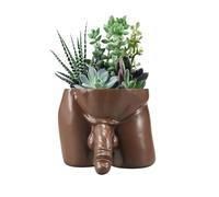 Lourich FREPEG Body Vases for Decor Planter, Resin Planter Decor Funny Planter Pot, Male Body Plant Pots - Vase Funny Planter Gift Unique Planter for Succulents and Cacti (Brown)