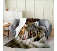 Loussiesd Cat Plush Throw Blanket Soft for Boys Girls, Cats Print Throw Blanket Baby 30x40Inch Cute Kitten Sherpa Blanket Microfiber Animal Bedroom Decor