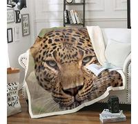 Loussiesd Cheetah Leopard Fleece Throw Blanket Wildlife Style Decor Plush Blanket for Sofa Bed Bedroom Decor Wild Animal Theme Pattern Single 50x60 Inch