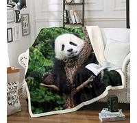 Loussiesd Cute Panda Fleece Throw Blanket for Sofa Bed Bear Printed Decorative Cartoon Giant Panda Design Sherpa Blanket Wild Animal Single 50x60 Inch
