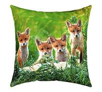 Loussiesd Fox Throw Pillow Cover 18"x18" Cushion Covers Soft Cute Fox Cushion Covers Woodland Fox Throw Pillowcases Nature Wildlife Decorative Throw Cushion Case