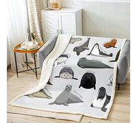 Loussiesd Kids Cartoon Seal Throw Blanket Cute Ocean Marine Animal Fleece Blanket for Bed Sofa Boys Girls Sea Creature Sherpa Blanket Seal Collection Fuzzy Blanket Bedroom Double 60x79 Inch