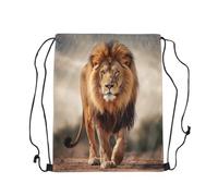 Loussiesd Lion Sports Drawstring Sackpack Wild Animal Drawstring Backpack 40x33cm 3D Wild Animal Pattern Gym String Bag Safari Print Drawstring Bags